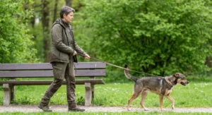 Kobieta spaceruje ze spokojnym psem na smyczy w parku, mijając drewnianą ławkę.